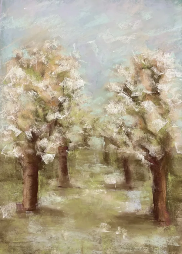 Apple trees