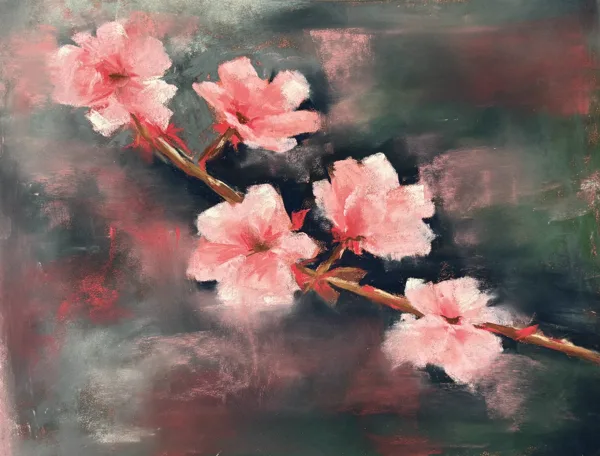 Cherry blossom