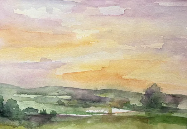 Meadow Nr2